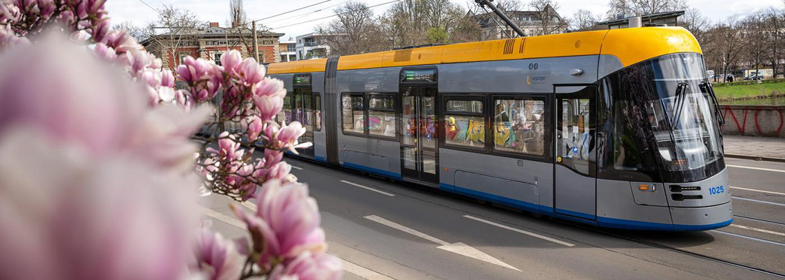 srassenbahn_blumen.jpg
