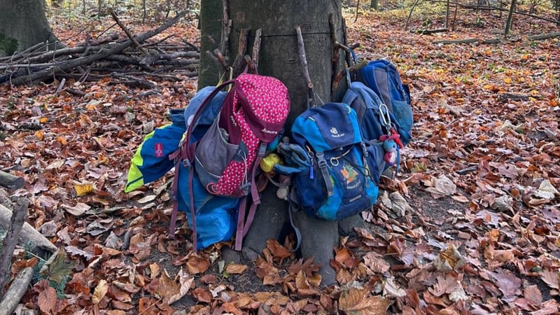 Kinderrucksäcke an einem Baum im Wald