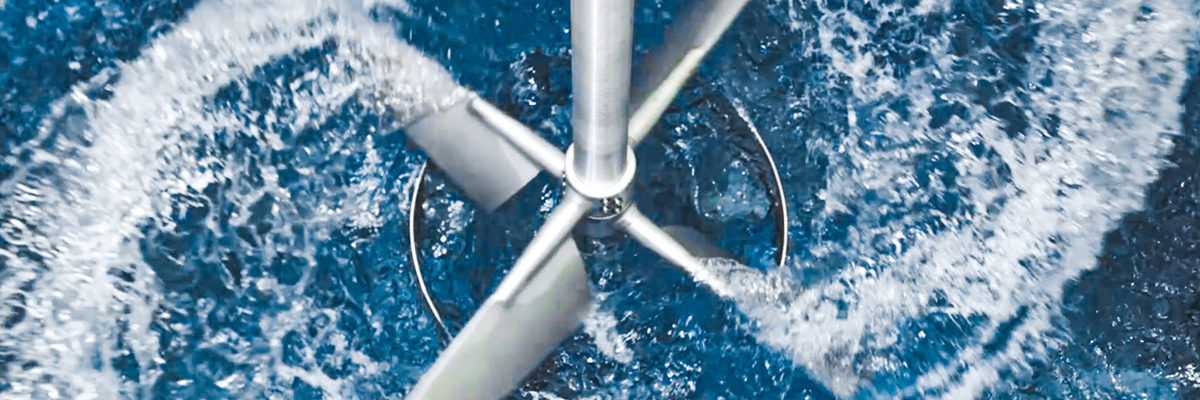 slider image 3