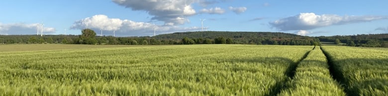 Feld