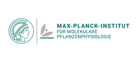 Firmenlogo: Max-Planck-Institut für Molekulare Pflanzenphysiologie