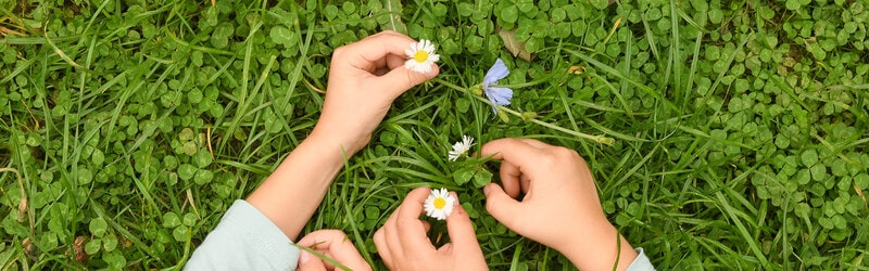 Kinder pflücken Blumen