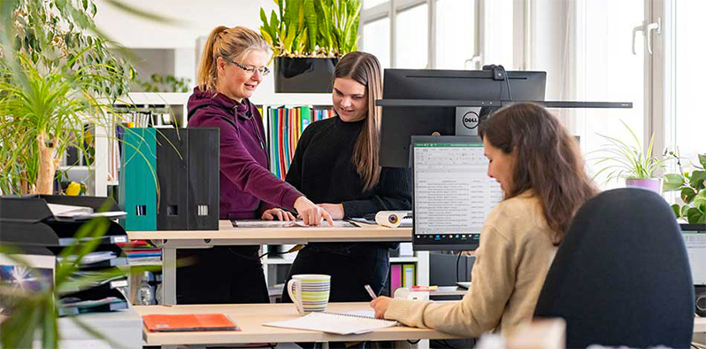 Team im Büro