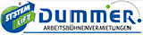 Firmenlogo: Dummer GmbH