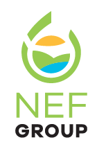 NEF Förderungs GmbH