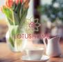 Firmenlogo: LOTUSLIFE Standort Wandlitz