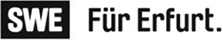 Stadtwerke Erfurt Gruppe 2020
