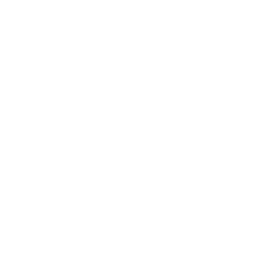 Flagge