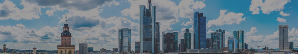 Realdaptive Management GmbH & Co. KG