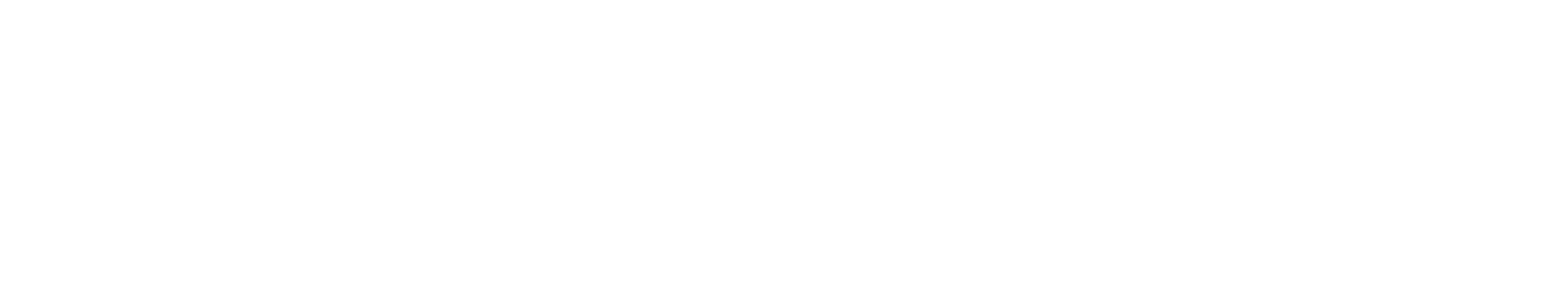 Citizen Machinery Europe GmbH Logo