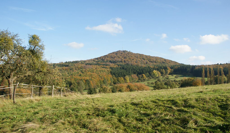 Landschaft mit Hügel und Weide