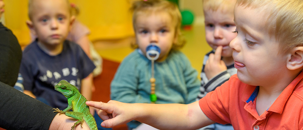 Kleine Kinder