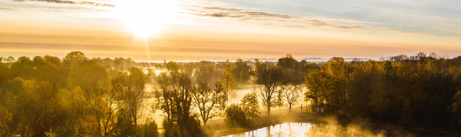 Headerbild 1
