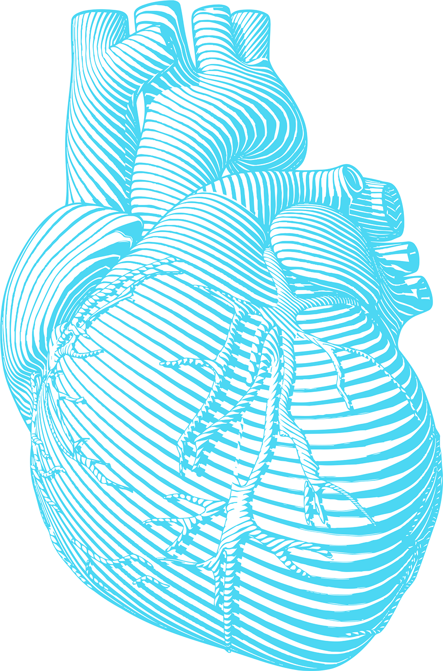 HDZ NRW Illustration