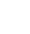 Tiktokicon