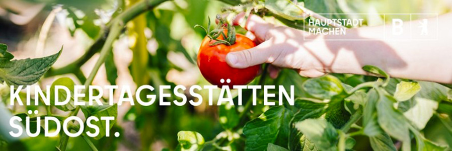 Tomaten - Kindertagesstätten SüdOst