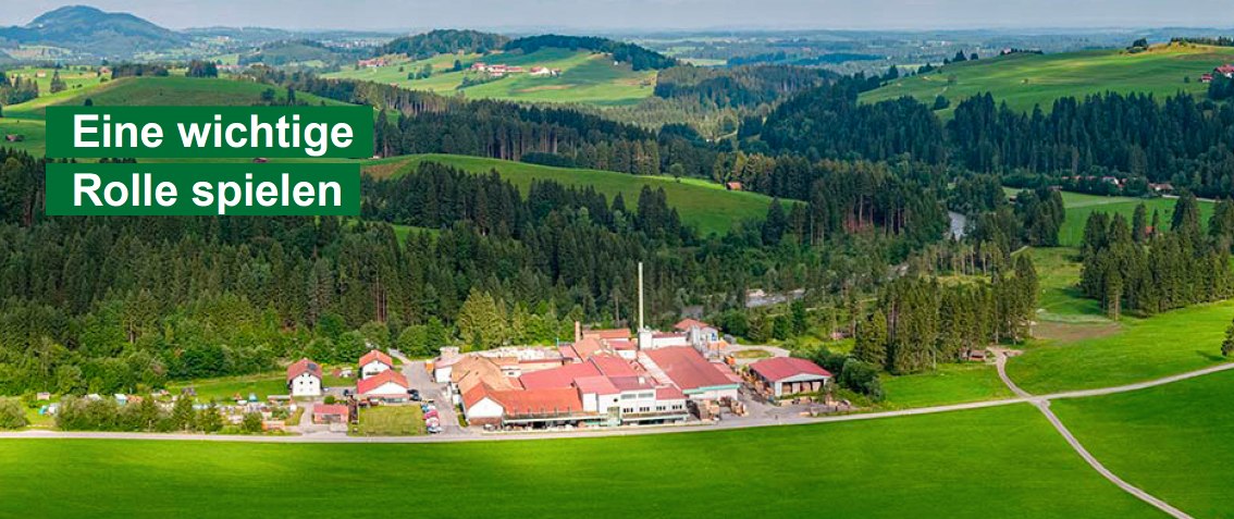 Bär Cargolift Headerbild