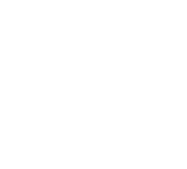 Logo:More Than Subculture E.v.