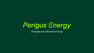 Firmenlogo: Perigus Energy Deutschland GmbH