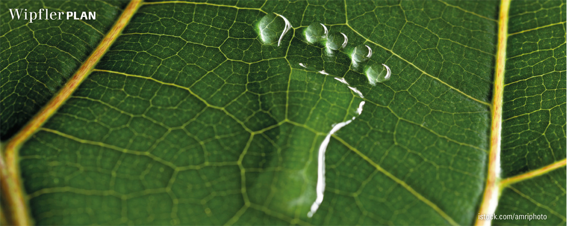 Slider Image 2