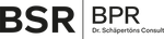 Firmenlogo: BPR Dr. Schäpertöns Consult GmbH & Co. KG