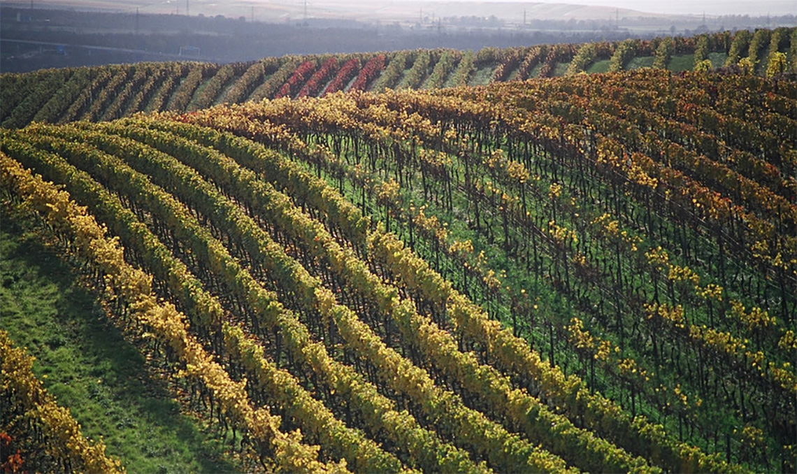 Die Landwirtschaftskammer Rheinland-Pfalz