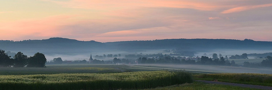Feld