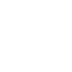 Startdatum Icon