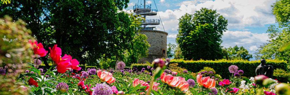 Blütengarten mit roten und orangen Blüten, Turm im Hintergrund
