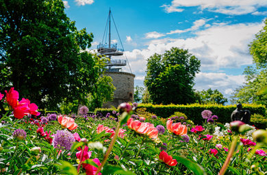 Bunte Blütenbeete mit Turm im Hintergrund an sonnigem Tag