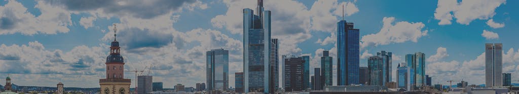 Realdaptive Management GmbH & Co. KG