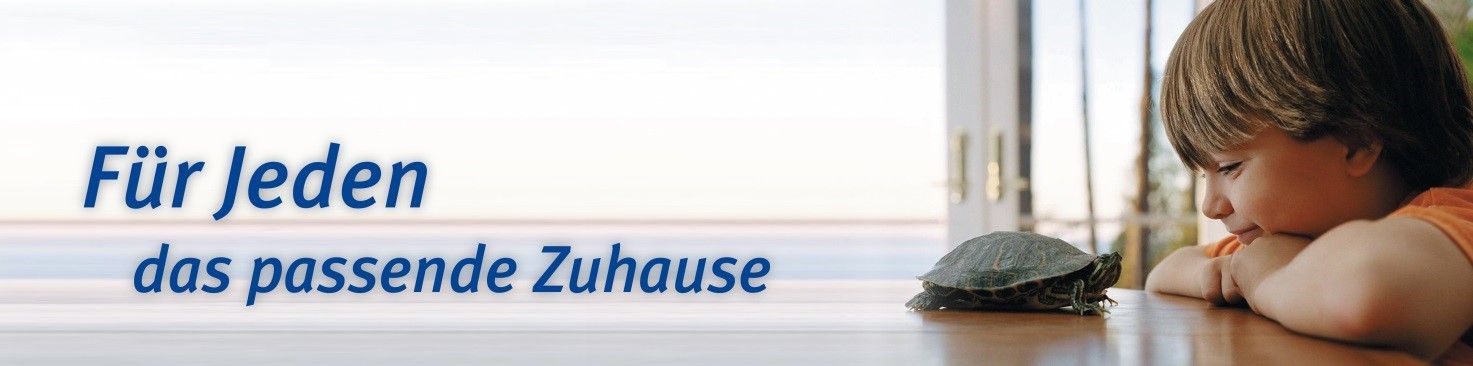 ein kleiner Junge hat seinen Kopf auf seine Arme gelegt auf eine Tischplatte - ganz rechts, eine Schildkröte hat sich offensichtlich von links nach rechts auf der Platte bis zu ihm bewegt, er sieht ihr ins Gesicht, Slogan FÜR JEDEN DAS PASSENDE ZUHAÙSE