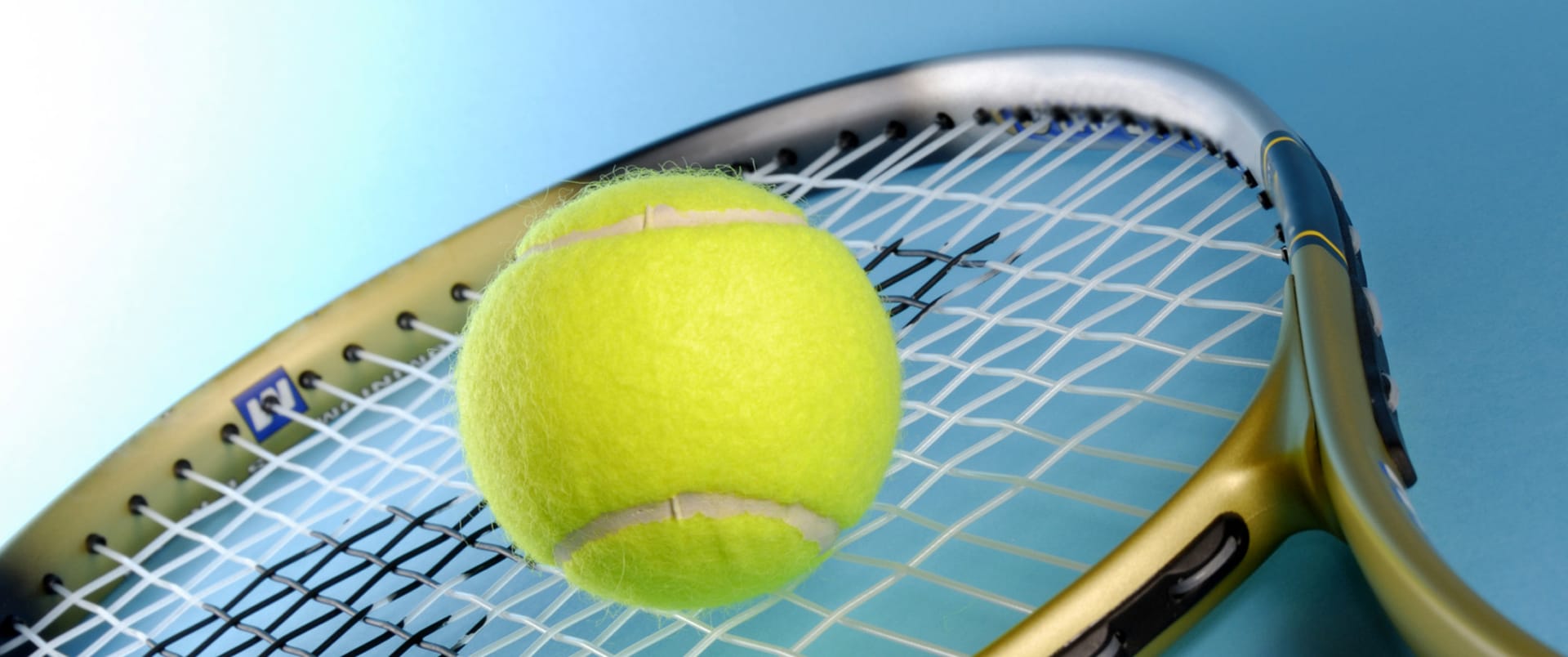 Tennis im WiehenPark
