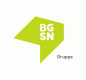 Firmenlogo: Die BGSN Gruppe