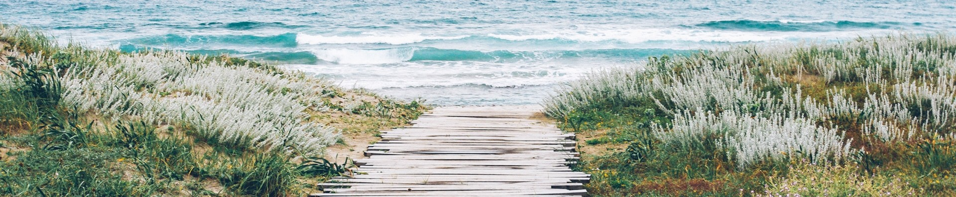 Slider Image 1