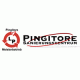 Firmenlogo: Pingitore Sanierung GmbH