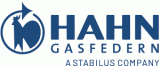 Firmenlogo: Hahn Gasfedern GmbH