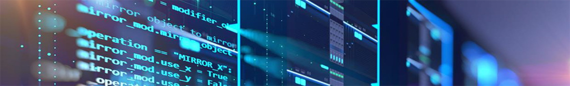 Landesamt für Digitalisierung, Breitband und Vermessung, IT-Dienstleistung