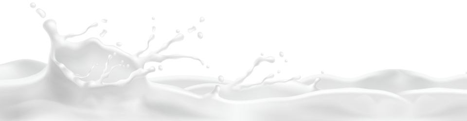Milch