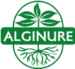 Tilco-Alginure GmbH