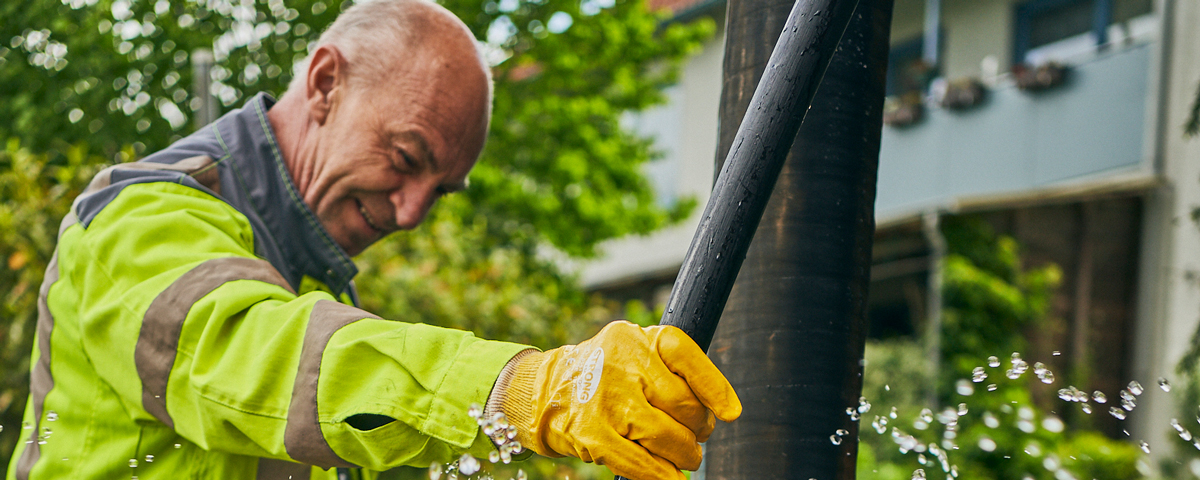 Headerbild der Anzeige