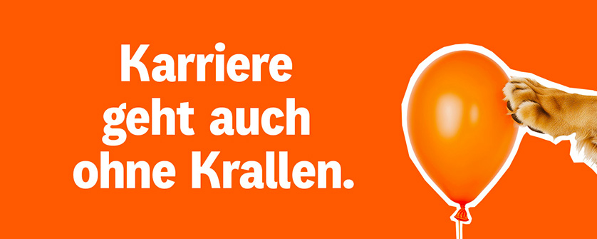 Ballon - Karriere geht auch ohne Krallen.