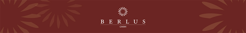 Berlus GmbH