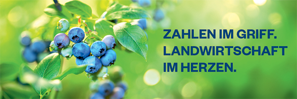 Heidelbeeren