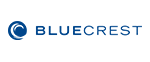 Firmenlogo: DMT Solutions Germany GmbH dba BlueCrest