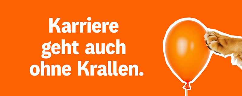 Rudel gesucht? Wir haben noch Platz