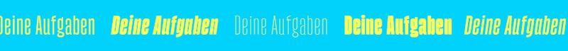 Deine Aufgaben