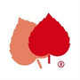 Firmenlogo: KATHARINENHOF IN JENA